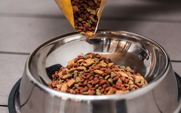 O papel dos nutrientes na ração para cães e por que usar antioxidantes na sua conservação