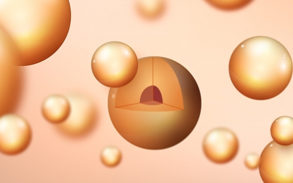 Processos de obtenção de microencapsulados e sua aplicação na nutrição animal