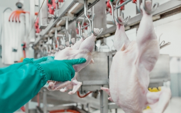 Os desafios dos processos de higienização nas indústrias alimentícias