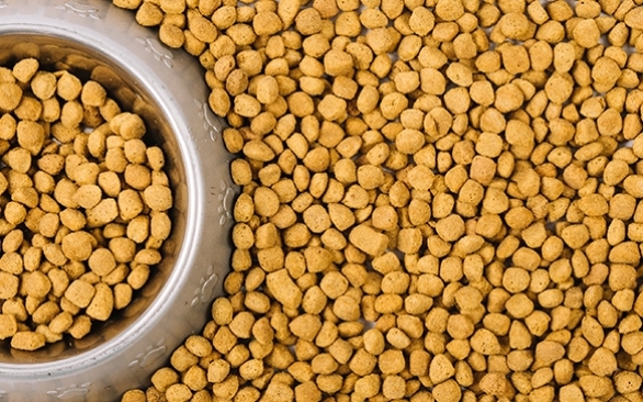 A importância dos antifúngicos para a ração pet