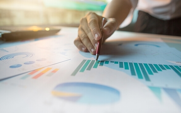 Mercado e custos de produtos para a alimentação de animais de estimação e produção