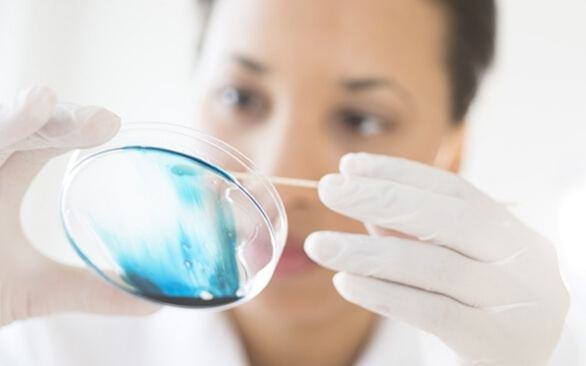 Métodos para identificação de biofilmes na indústria alimentícia