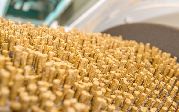 Perdas no processo produtivo em fábricas de ração: como identificar e onde atuar?