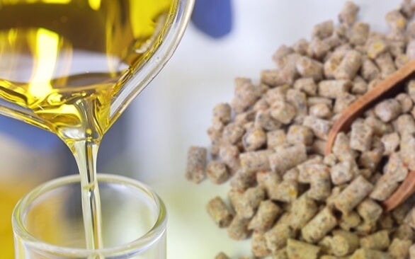 Como gerenciar os impactos na nutrição animal com aditivos tecnológicos