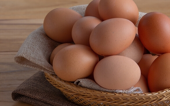 Como obter um ovo de melhor qualidade?