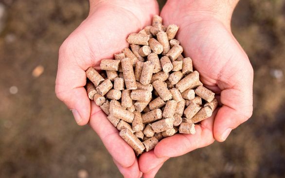 BTA apresenta novidades em desinfecção da indústria e nutrição animal na Avesui