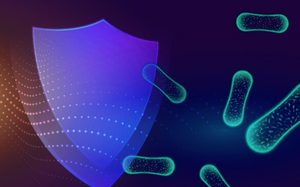 Uso de antissalmonelas em matérias-primas e rações: uma visão prática e suas aplicações