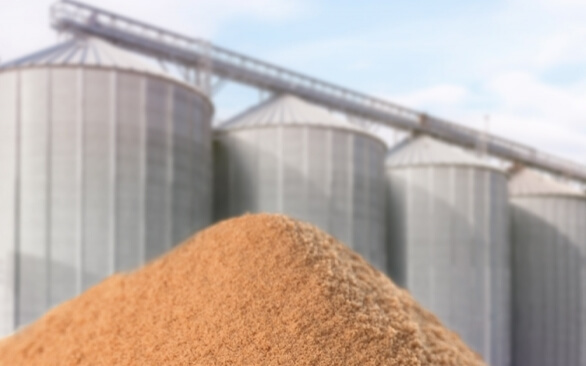 Do transporte ao processamento: como garantir a conservação de óleos e gorduras