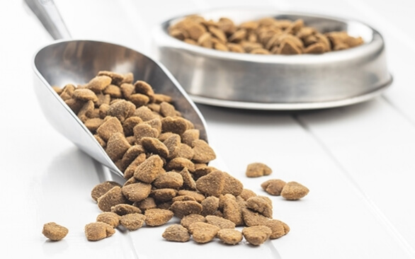 Quais problemas a contaminação fúngica nas rações pode causar aos animais?