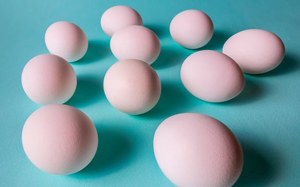 BTA apresenta seu lançamento para higienização de ovos na 60ª Festa do Ovo, em Bastos