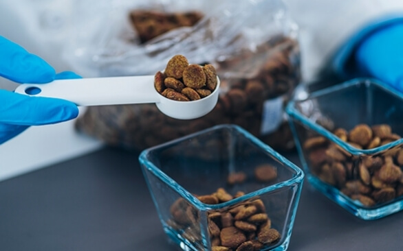 Como garantir a eficiência dos antioxidantes aplicados na nutrição animal?