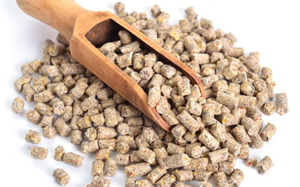 Impacto da utilização de antioxidantes na conservação da ração dos animais de produção