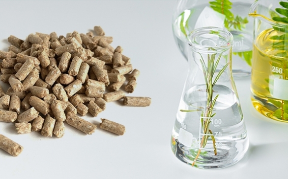 Conceito de consumo consciente na nutrição animal estimula a utilização de compostos naturais em substituição às moléculas sintéticas