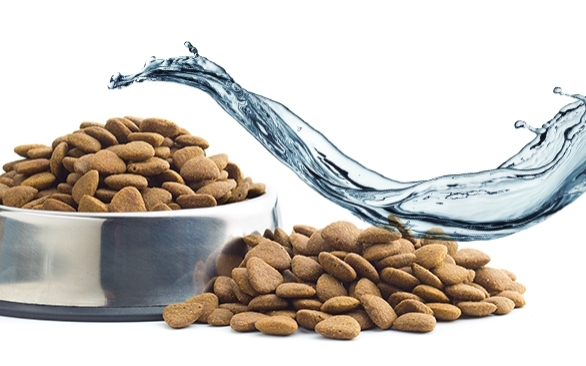 Como a umidade e a atividade de água podem interferir na qualidade da produção de ração