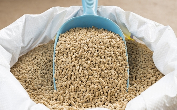 5 dicas fundamentais para um controle sanitário eficiente em fábricas de ração