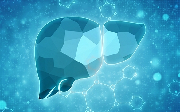 Saúde hepática das aves: uma nova fronteira a ser desbravada para melhorar a produtividade do lote