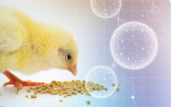 Ciência ômica como tendência de pesquisa na produção animal