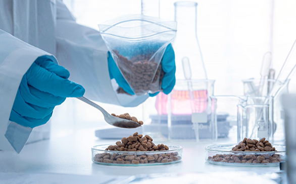 A importância da etapa de preparo de amostras para o controle de qualidade das análises na indústria química