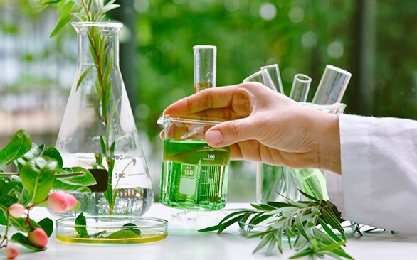 Vamos falar sobre aditivos zootécnicos?  