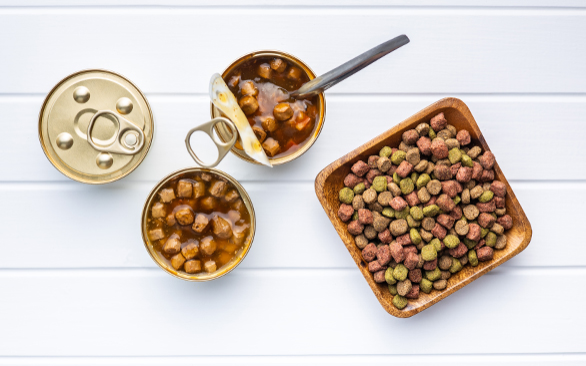 Teor de umidade em alimentos pet: entenda a diferença