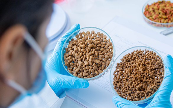 Importância do Controle de Qualidade na formulação de alimentos pet