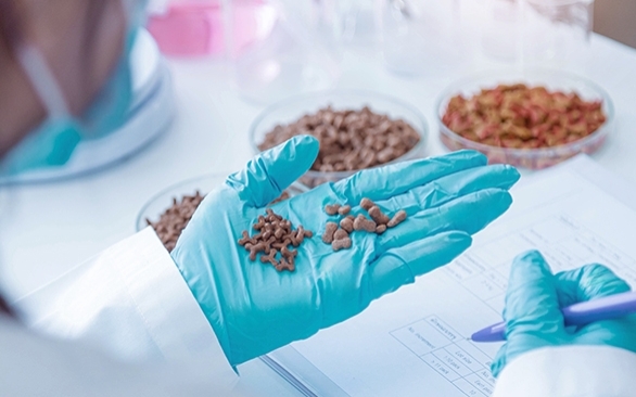 Como garantir a qualidade física da ração?