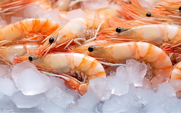 Carcinicultura - Utilização de ácidos orgânicos na produção de camarões