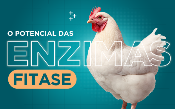 Enzima Líquida: Melhore a estabilidade da fitase na ração.