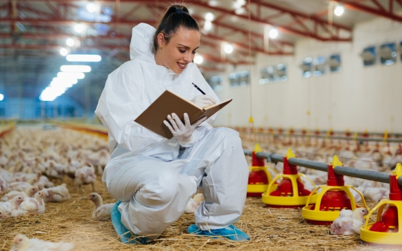 O que são aditivos para nutrição animal?