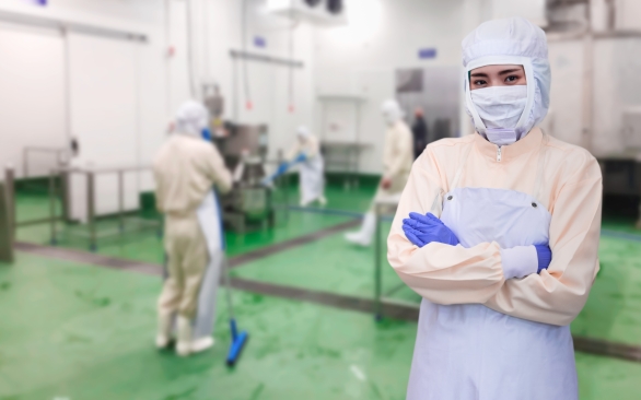 Por que higienizar EPIs e utensílios é essencial para a segurança dos alimentos