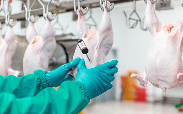 Controle Sanitário nas diferentes etapas do processamento de abate de aves é tema de palestra em Foz do Iguaçu