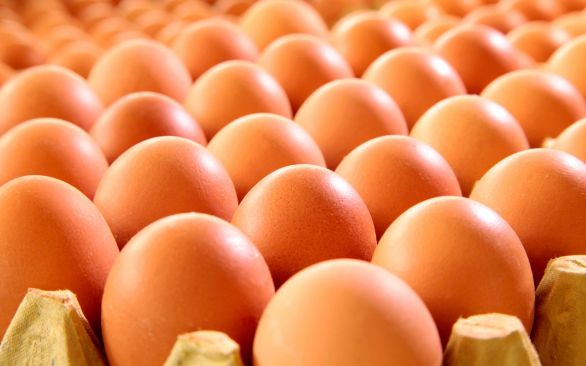 BTA participa da Festa do Ovo em Bastos