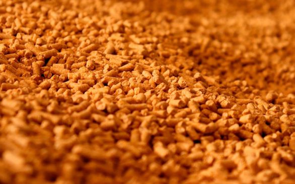 BTA marca presença no Encontro Técnico Avícola