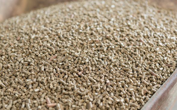 IPPE apresenta tendências em tecnologias no agronegócio