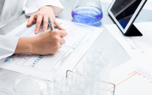 Inovação é a palavra de ordem na BTA