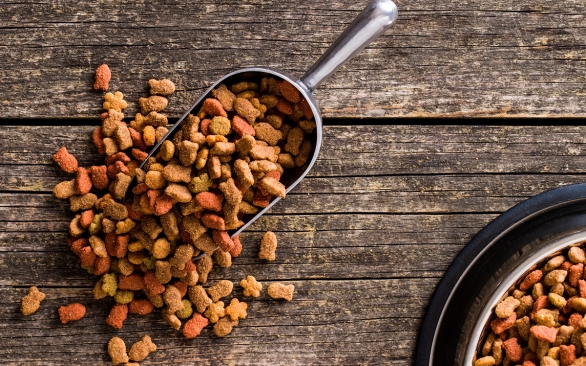 Antioxidantes: a proteção para uma ração segura