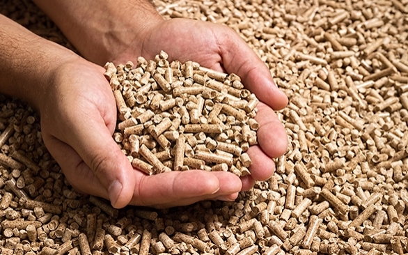 6 dicas para uma fabricação eficiente de ração para nutrição animal