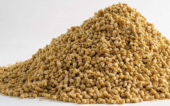 Como acontece a degradação de lipídeos nos alimentos para nutrição animal e como evitá-la