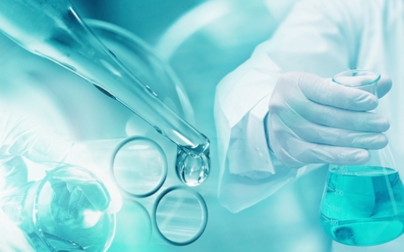 Aditivos para nutrição animal: tecnologias para ganhos de eficiência