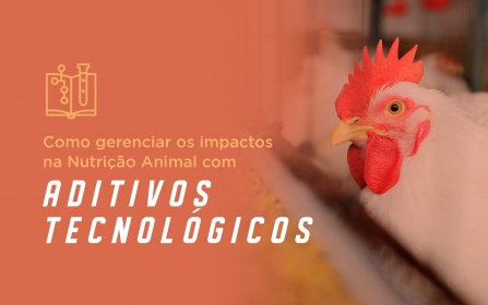 Vídeo - Como Gerenciar os Impactos na Nutrição Animal com Aditivos Tecnológicos