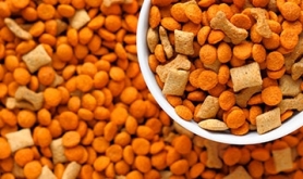 ADITIVOS TECNOLÓGICOS