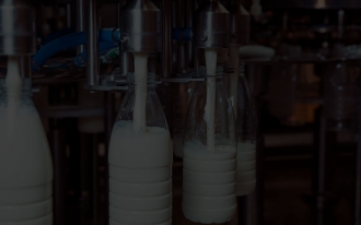 Laticínios e Queijarias